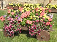 Blumen_klein